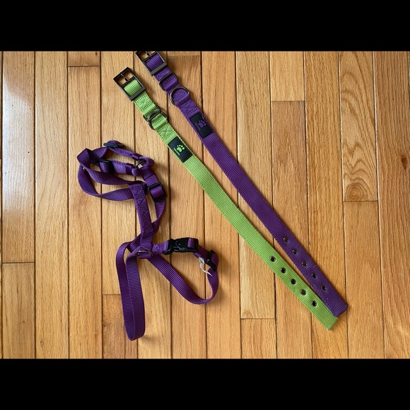 Top Paw collars and harness